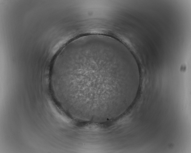 X0000112210299200908141504