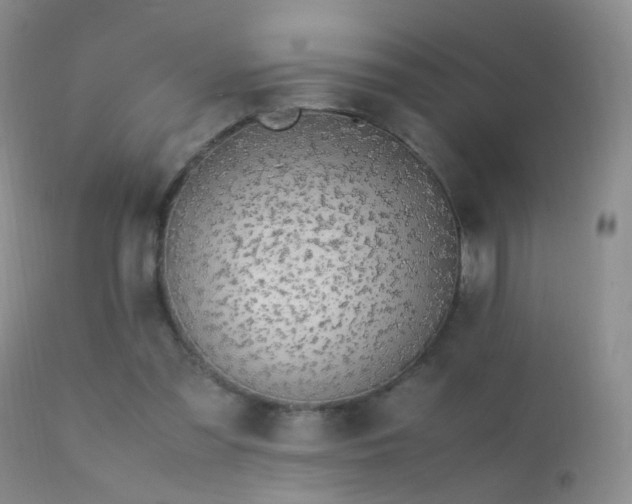 X0000112210301200908141504