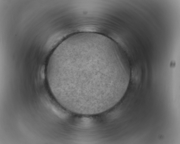 X0000112210302200908141504