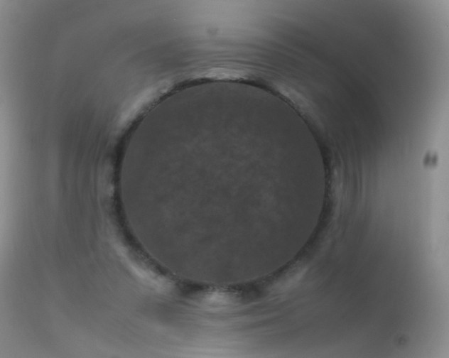 X0000112210303200908141504