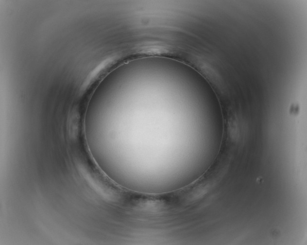 X0000112210304200908141504