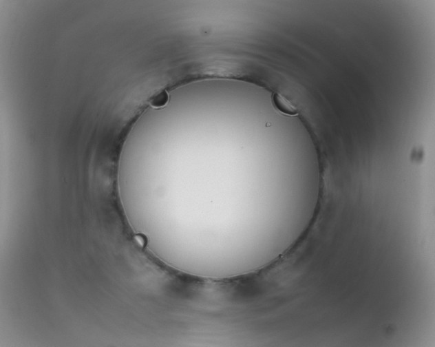 X0000112210305200908141504