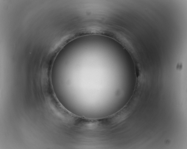 X0000112210306200908141504