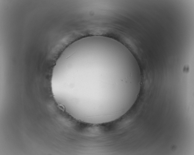 X0000112210307200908141504