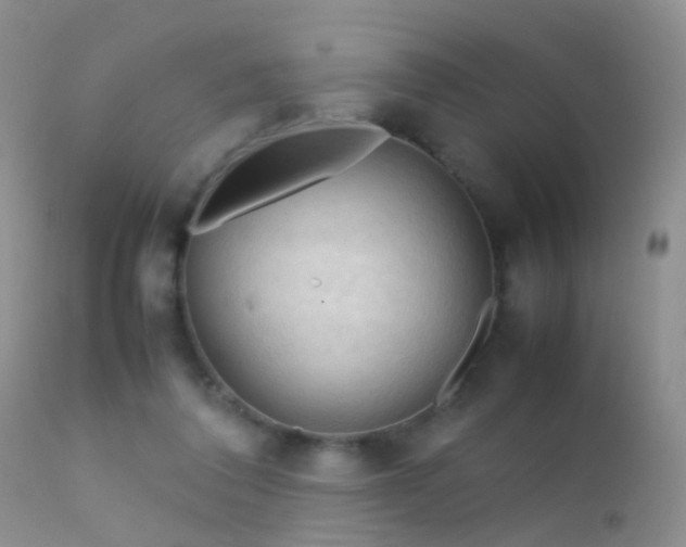 X0000112210308200908141504