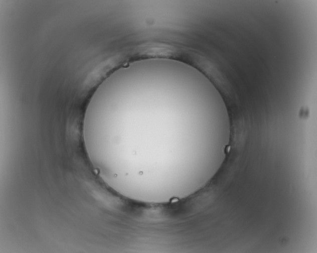 X0000112210309200908141504