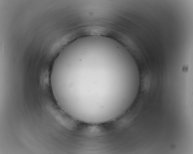 X0000112210310200908141504