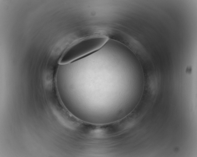 X0000112210312200908141504