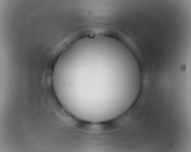 X0000112210313200908141504