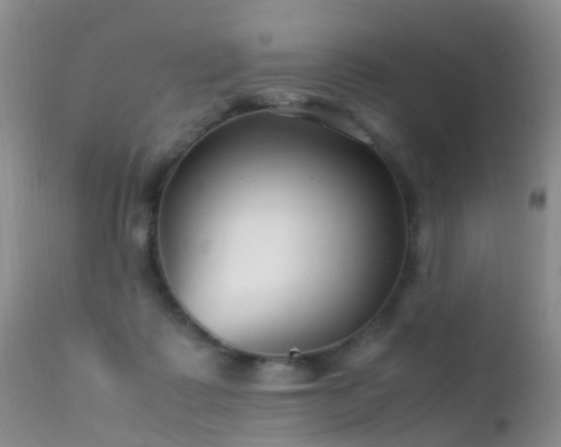 X0000112210315200908141504