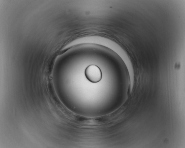 X0000112210316200908141504