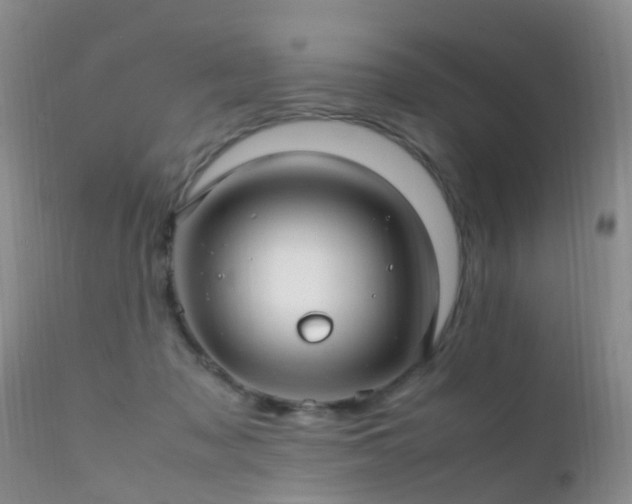 X0000112210317200908141504