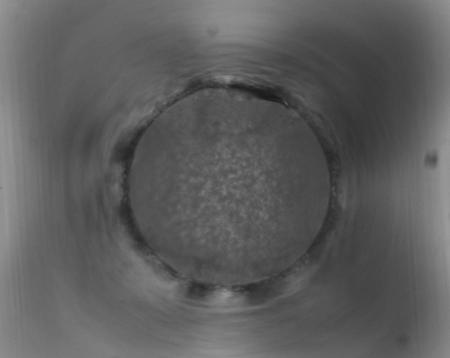 X0000112210319200908141504