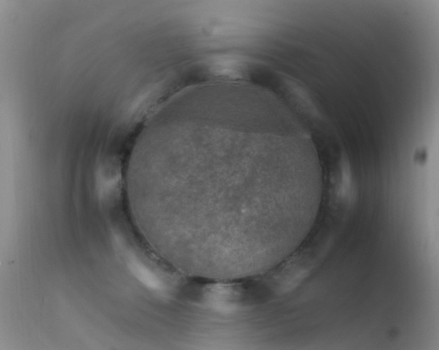 X0000112210320200908141504