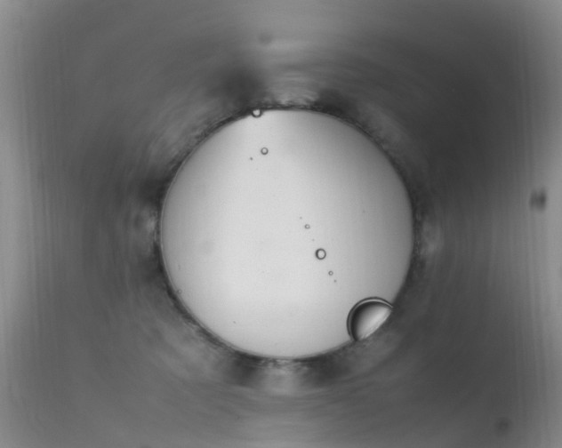 X0000112210321200908141504