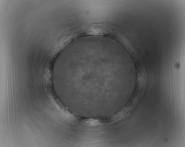 X0000112210322200908141504