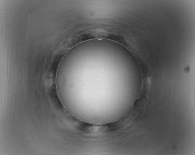 X0000112210323200908141504