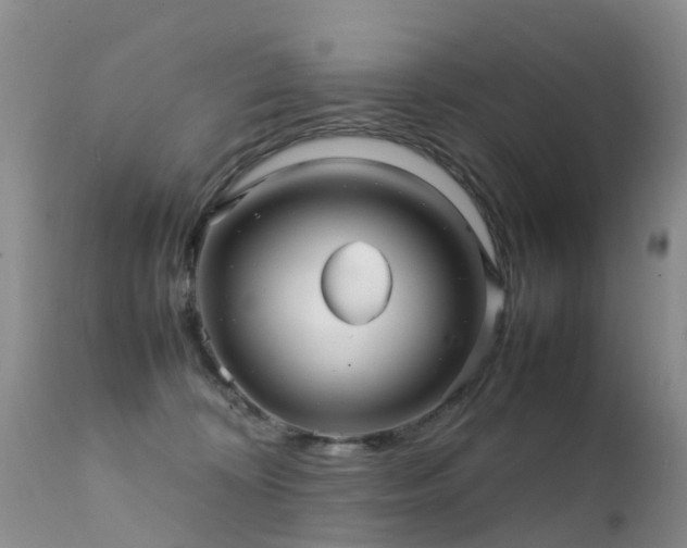 X0000112210324200908141504