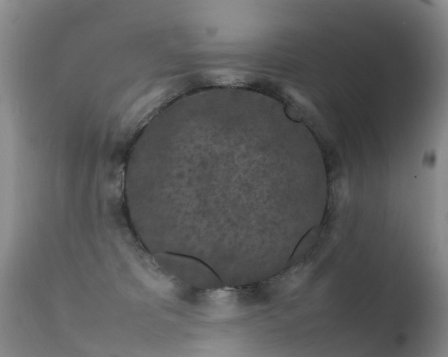 X0000112210325200908141504