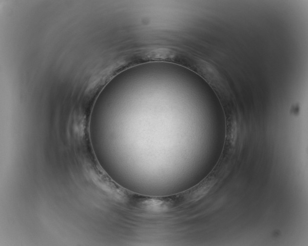 X0000112210326200908141504