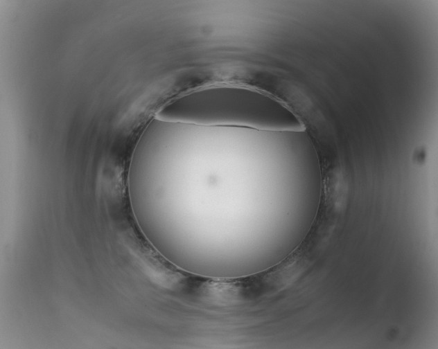 X0000112210327200908141504