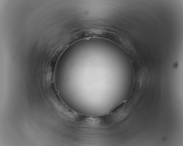 X0000112210328200908141504