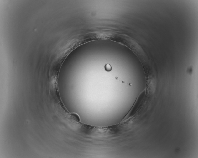 X0000112210329200908141504