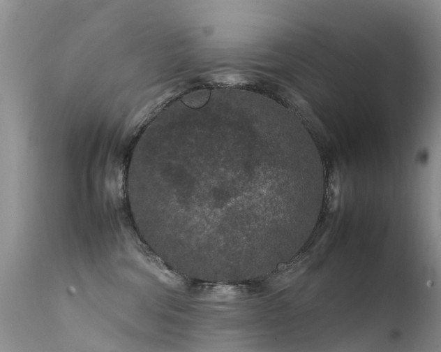 X0000112210330200908141504