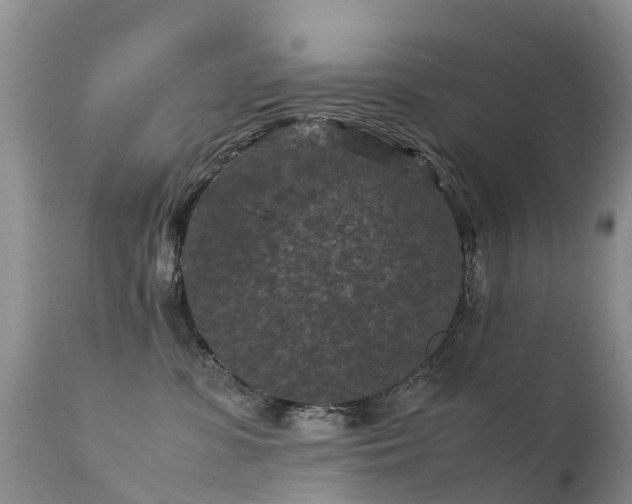 X0000112210331200908141504