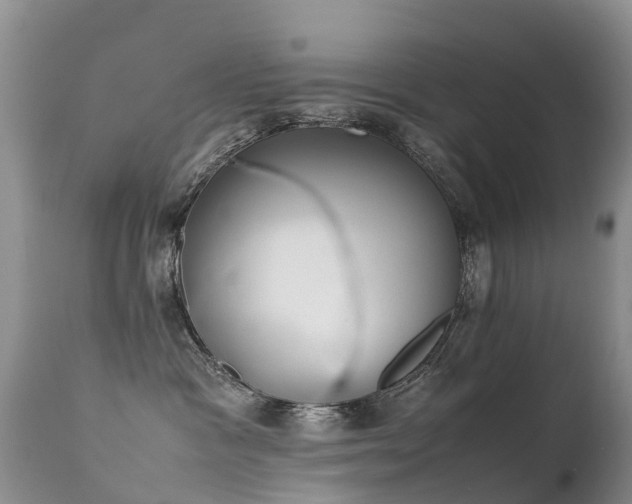 X0000112210333200908141504