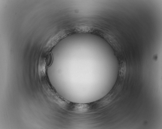 X0000112210334200908141504