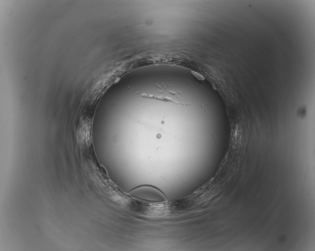 X0000112210335200908141504