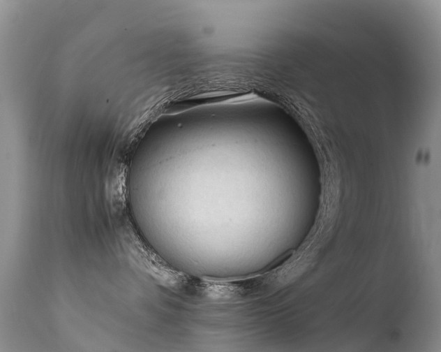 X0000112210336200908141504