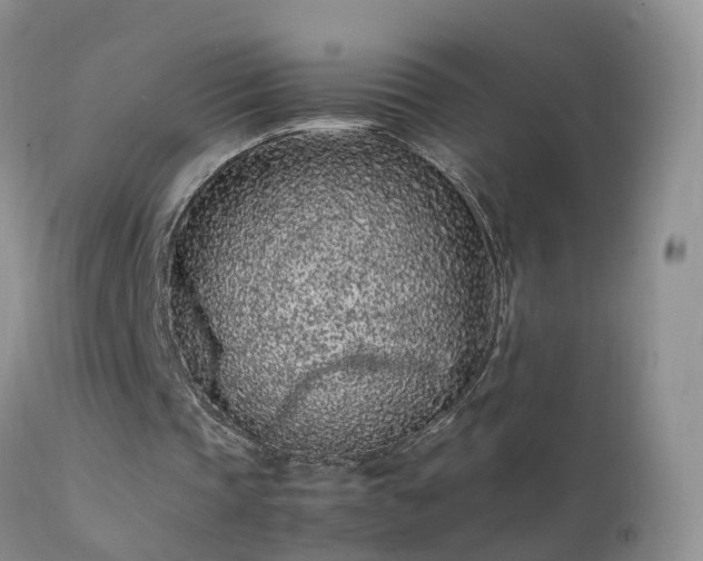 X0000112210337200908141503