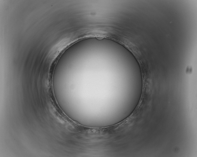 X0000112210338200908141503