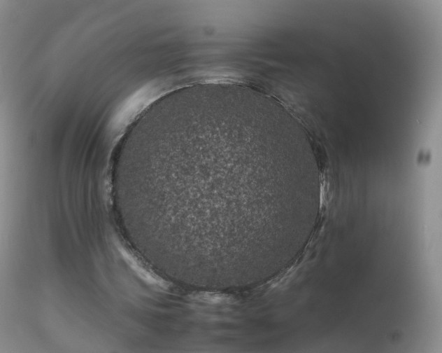 X0000112210339200908141503