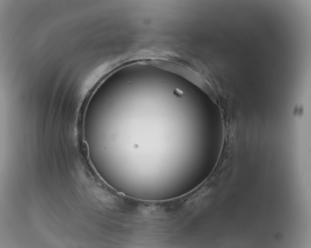 X0000112210340200908141503