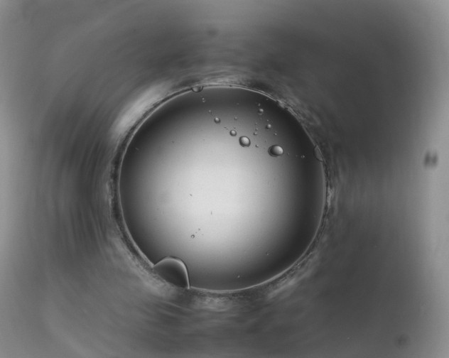 X0000112210341200908141503