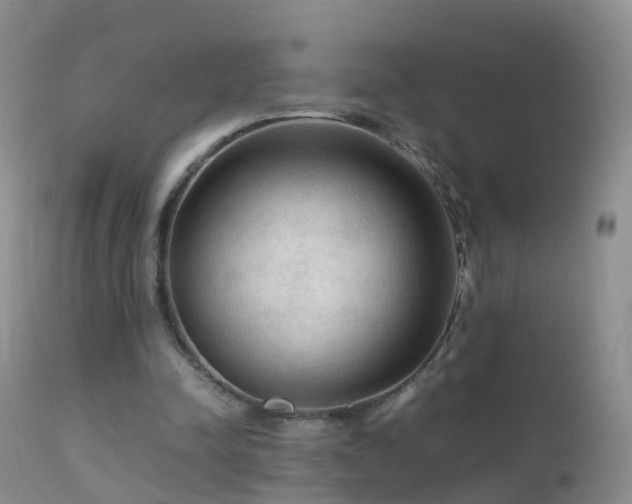 X0000112210342200908141503