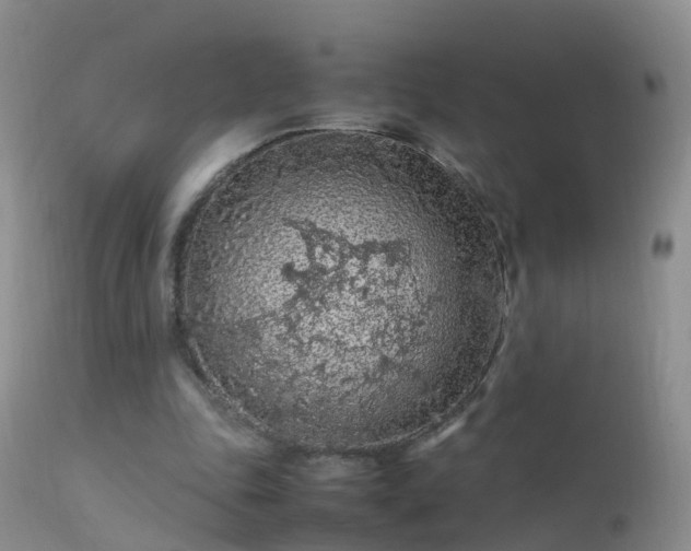 X0000112210343200908141503