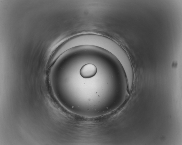 X0000112210344200908141503