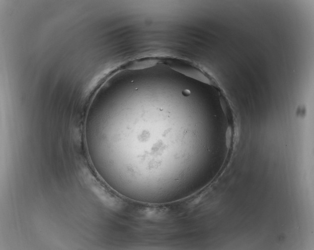 X0000112210345200908141503