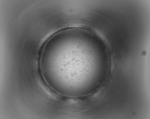 X0000112210346200908141503