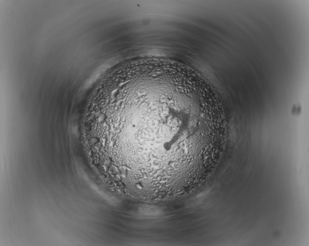 X0000112210347200908141503