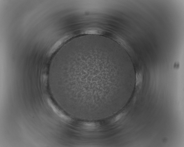 X0000112210349200908141503