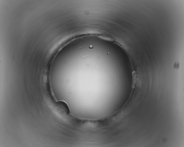 X0000112210350200908141503