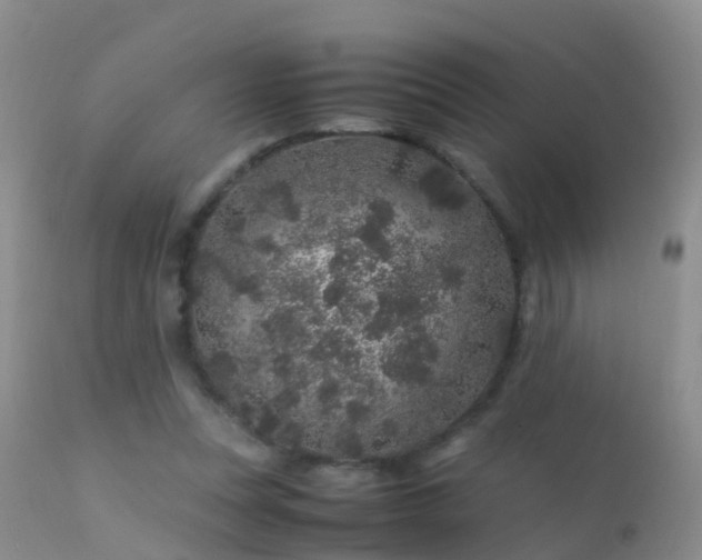 X0000112210351200908141503