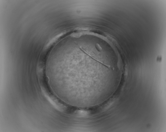 X0000112210352200908141503