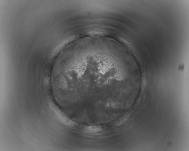 X0000112210353200908141503