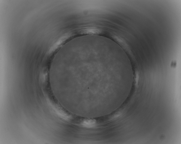 X0000112210355200908141503